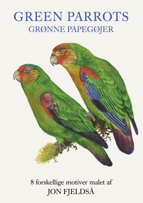 Grønne papegøjer - Green Parrots