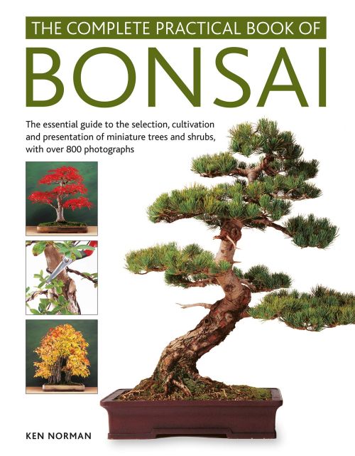 Complete Practical Book of Bonsai: The essential guide to the selection