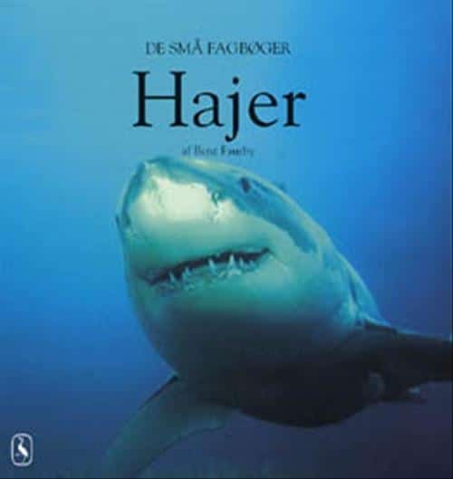 Hajer