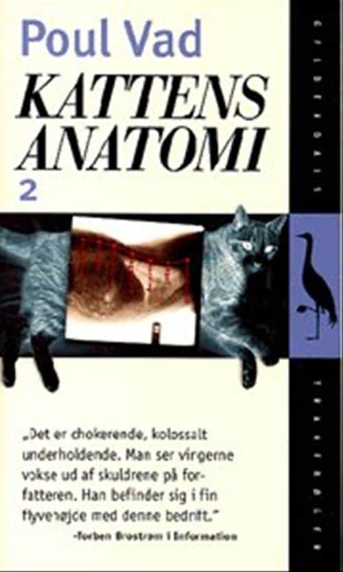 Kattens anatomi