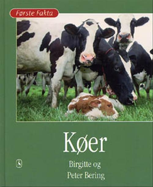 Køer