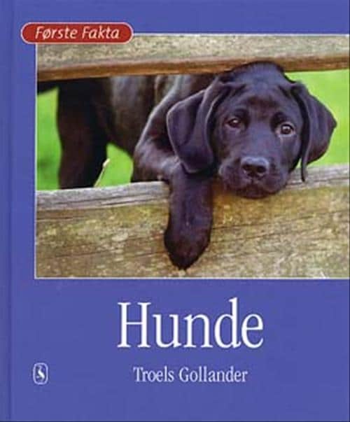 Hunde