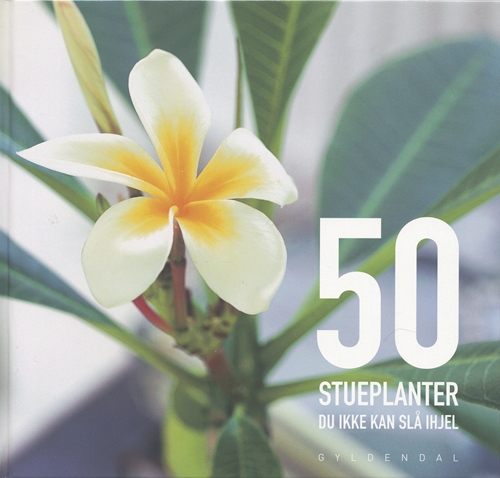 50 stueplanter