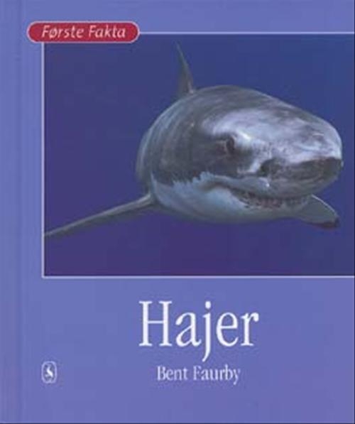 Hajer