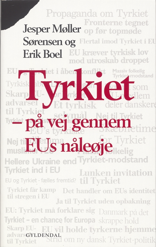 Tyrkiet - på vej gennem EUs nåleøje