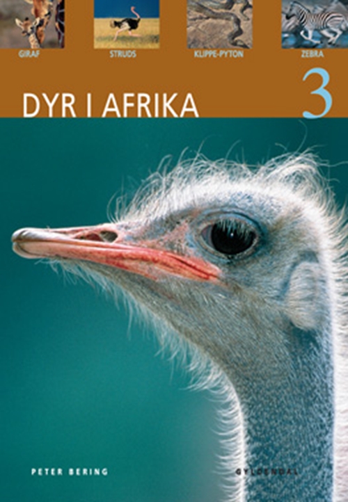 Dyr i Afrika 3