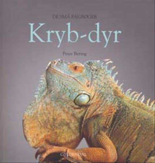 Krybdyr