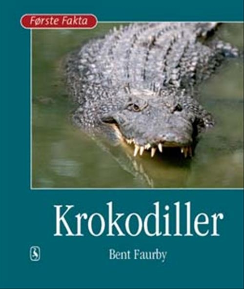 Krokodiller