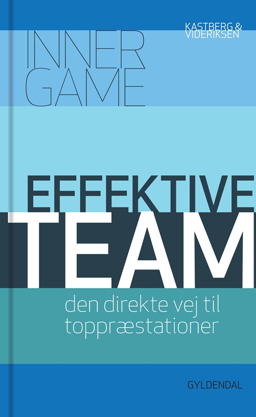 Effektive team