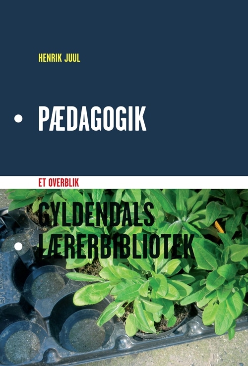 Pædagogik