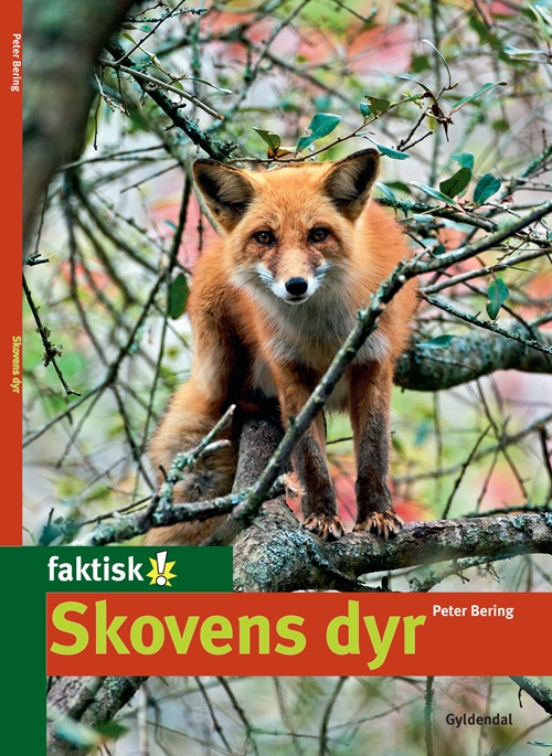 Skovens dyr