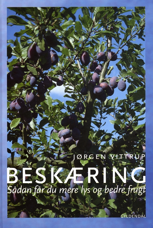 Beskæring