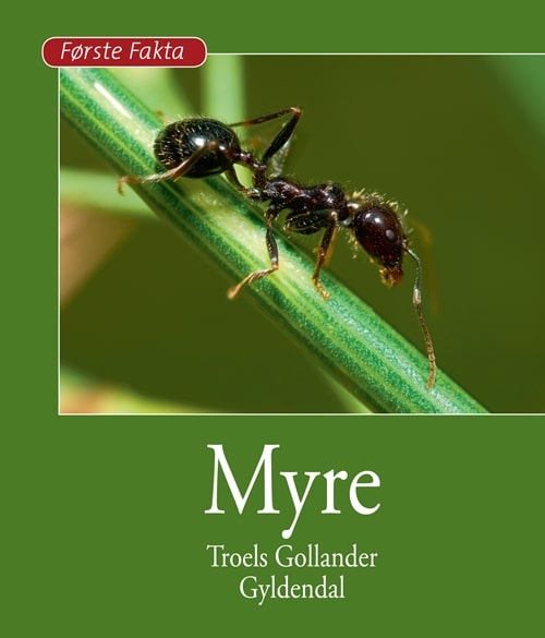 Myre