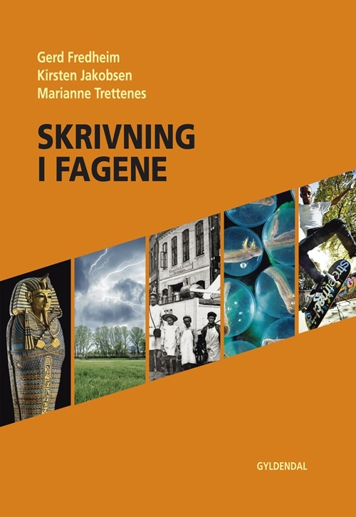 Skrivning i fagene