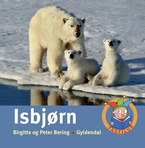 Isbjørn