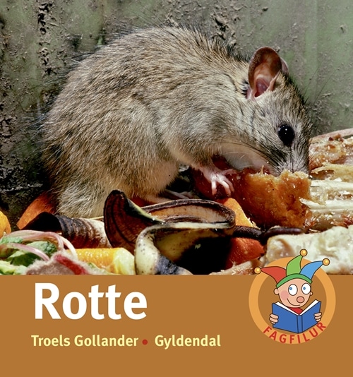 Rotte