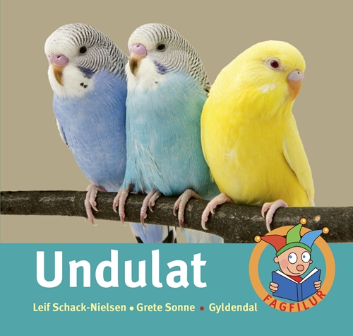 Undulat