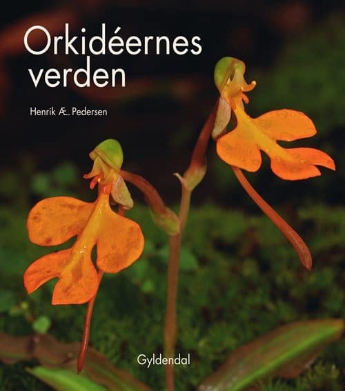 Orkidéernes verden