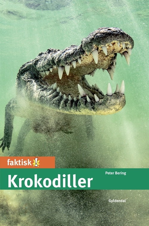 Krokodiller