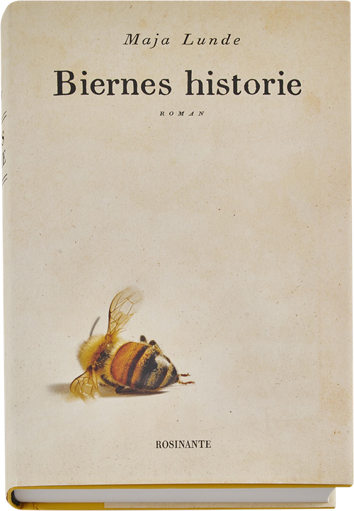 Biernes historie