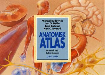 Anatomisk atlas