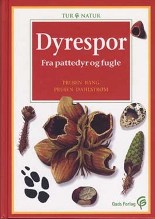 Dyrespor