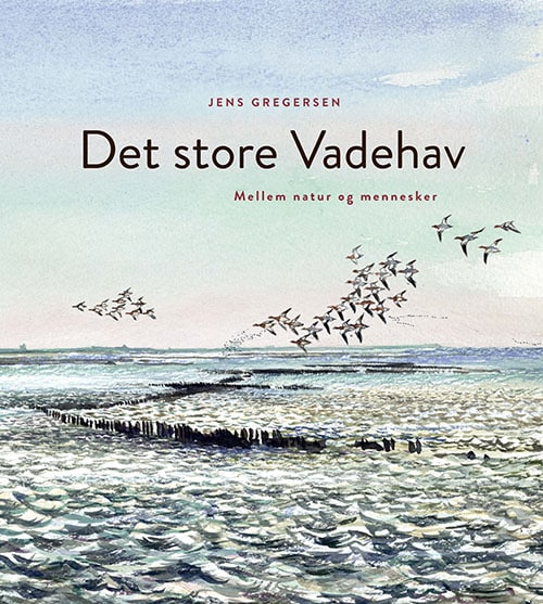 Det store Vadehav