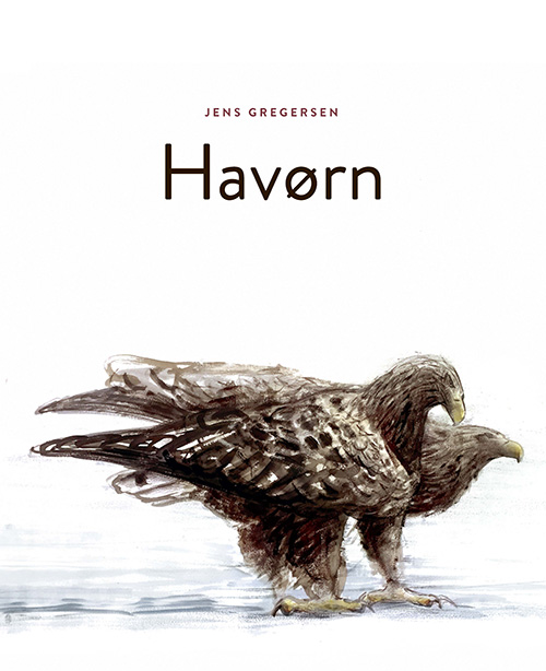 Havørn