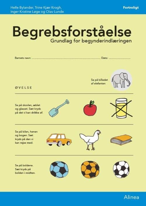 Begrebsforståelse