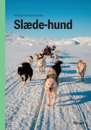 Slædehund