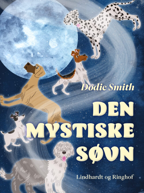 Den mystiske søvn