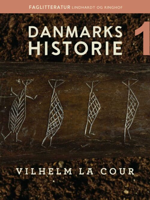 Danmarks historie. Bind 1