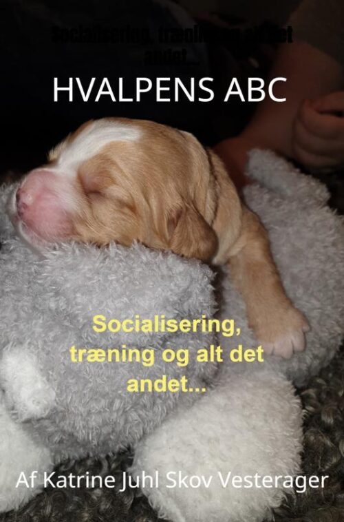 Hvalpens ABC