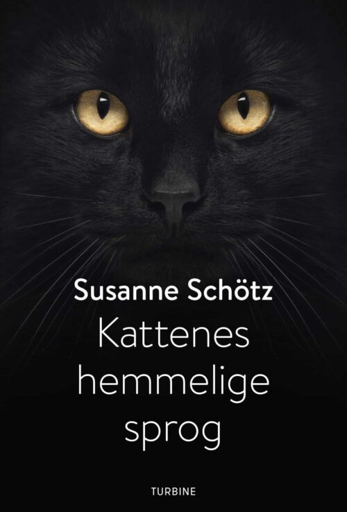 Kattenes hemmelige sprog