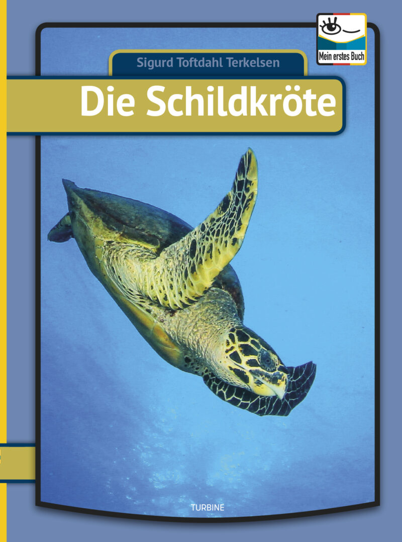 Die Schildkröte