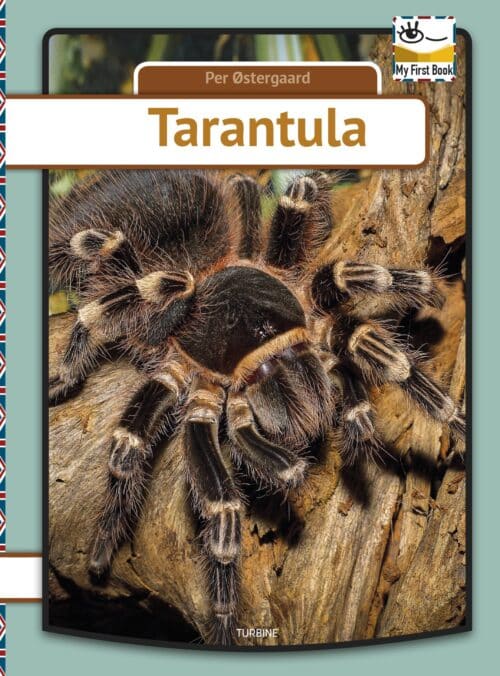 Tarantula