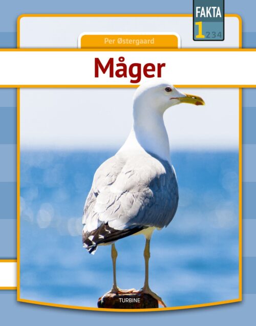 Måger