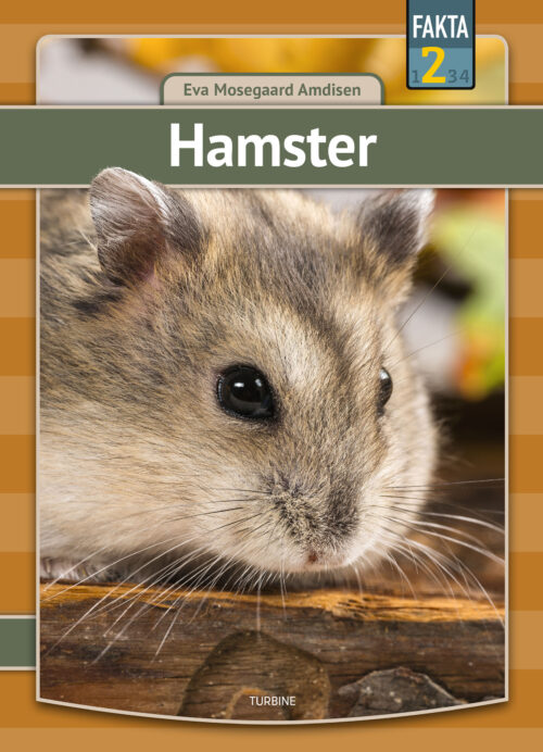 Hamster