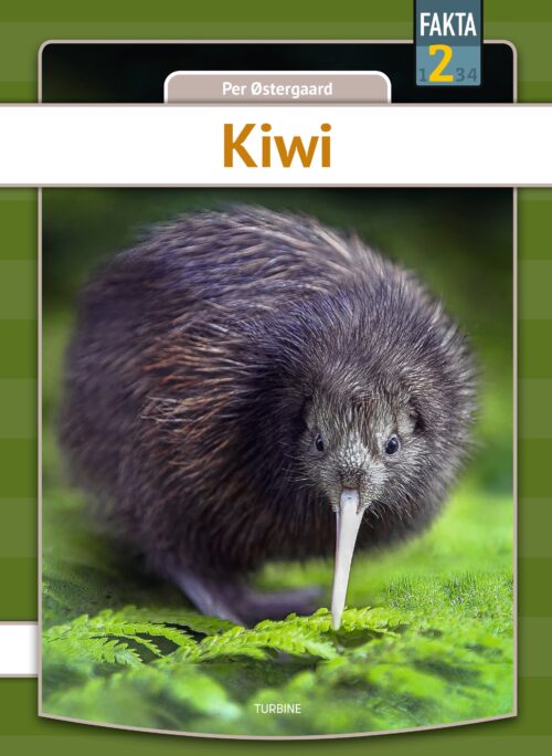 Kiwi