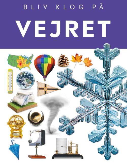 Vejret