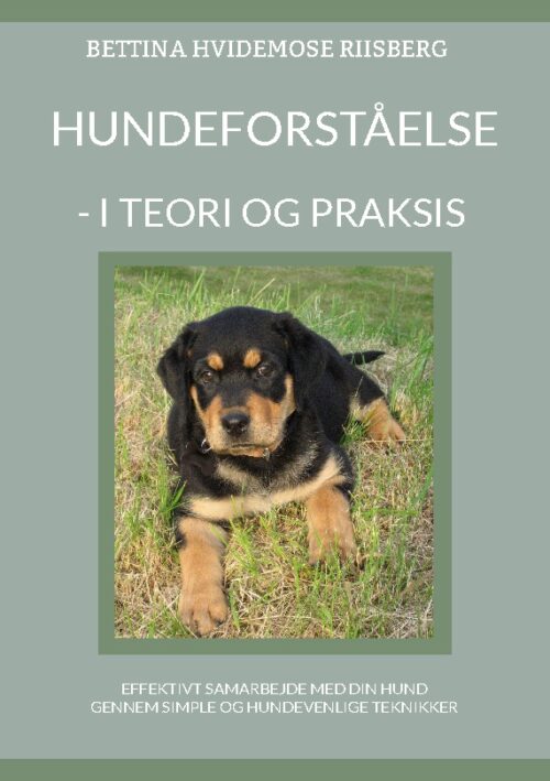 Hundeforståelse