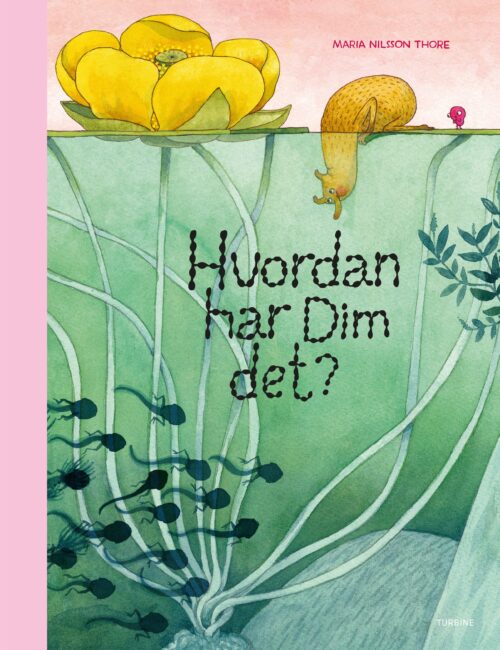 Hvordan har Dim det?