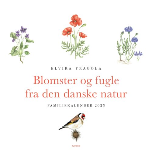 Blomster og fugle fra den danske natur –  familiekalender 2025