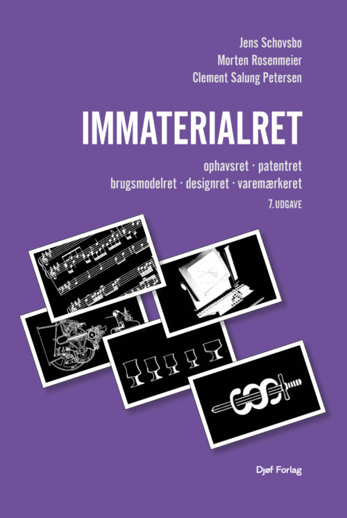 Immaterialret (Budget)