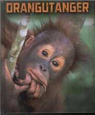 Orangutanger