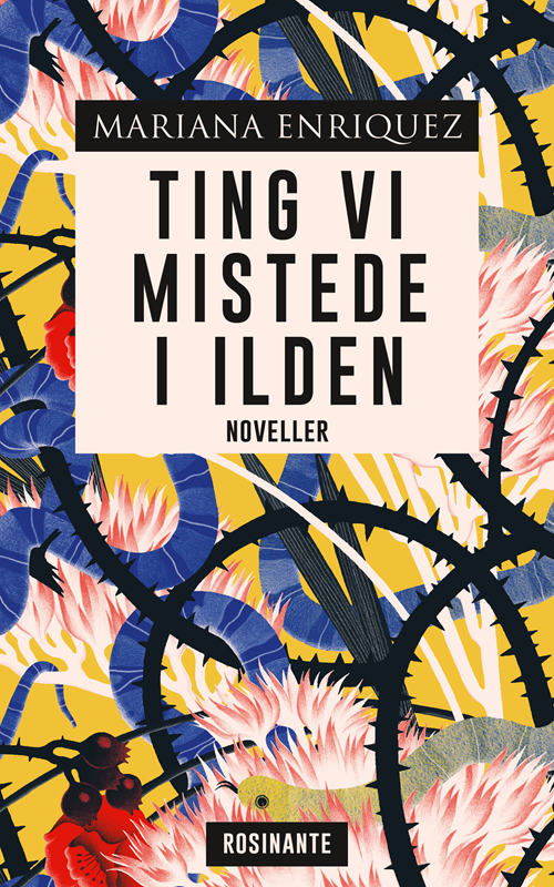 Ting vi mistede i ilden