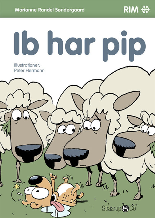 Ib har pip