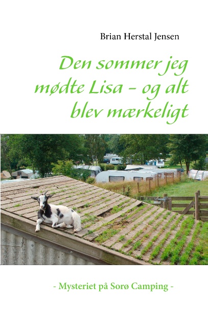 Den sommer jeg mødte Lisa - og alt blev mærkeligt