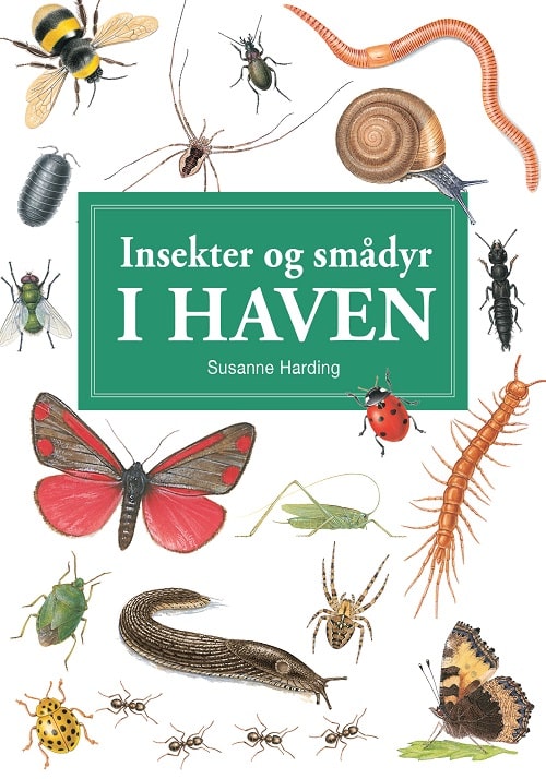 Insekter og andre smådyr i haven - display med 10 stk