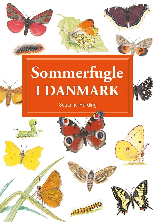 Sommerfugle i Danmark - display med 10 stk